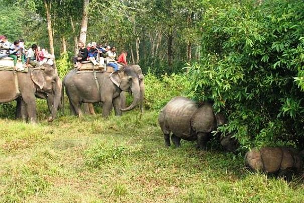 Safari na słoniach w Parku Narodowym Chitwan.