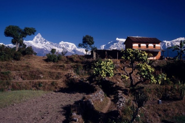 Trekking na Poon Hill Trekking na Poon Hill