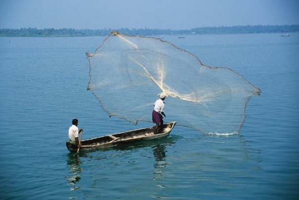 Rybacy zarzucają sieci na jeziorze Vembanad