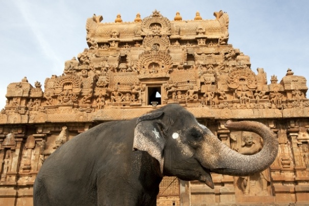 Thanjavur Thanjavur