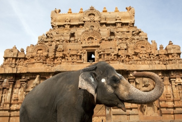 Thanjavur