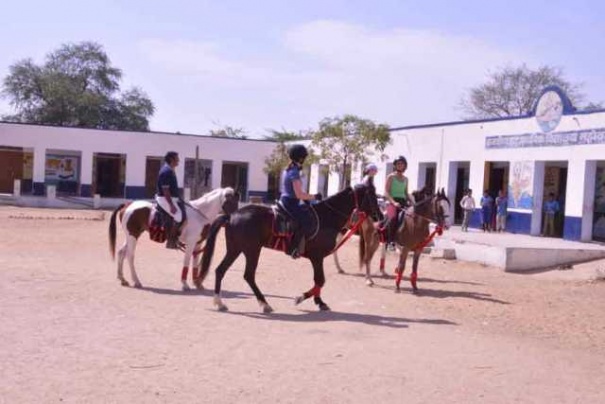 Horse safari