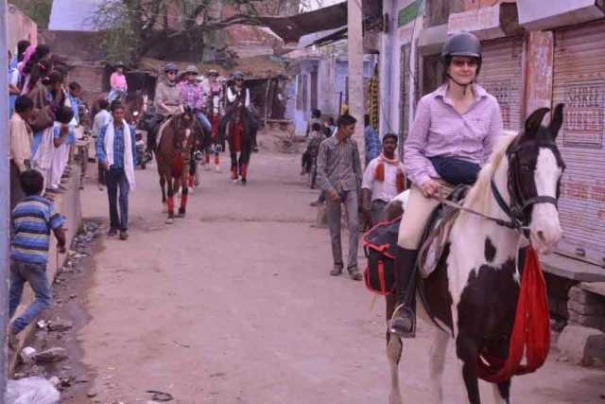 Horse safari Horse safari