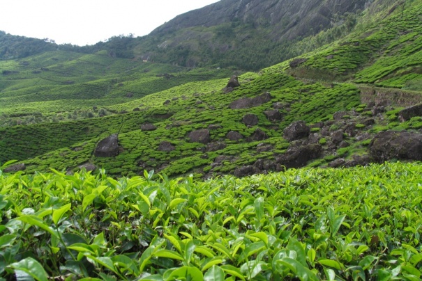 Munnar Munnar